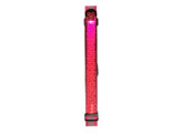 Stardust Belt LED Pink
