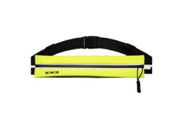 Pocket Belt